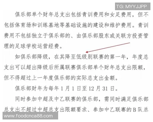 足球明星薪资揭秘:从转会费到赞助合同的多元收入来源分析 足球明星薪资揭秘:从转会费到赞助合同的多元收入来源分析