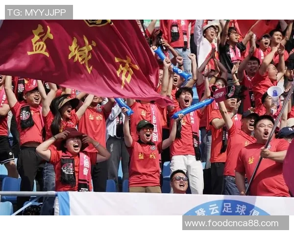 南京排球队创历史新高力量排名跃升全国前列