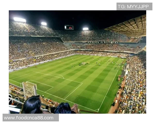 戚戚足球：探索青春与梦想交织的绿茵场上的奋斗与激情