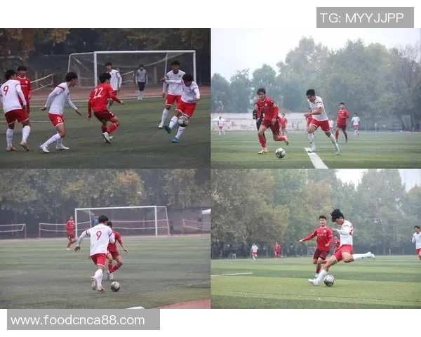 张雁飞足球:从青训到职业生涯的成长之路与未来展望 张雁飞足球:从青训到职业生涯的成长之路与未来展望