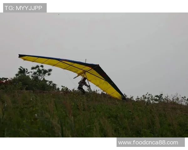 极限运动新手必看：全面状态入门指南助你快速上手与突破极限