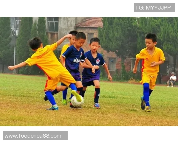 留学足球教练的成长之路与职业发展前景探讨