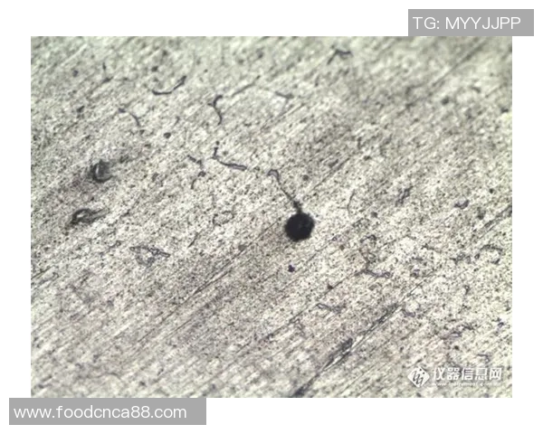 足球气孔移位现象解析及其对比赛表现的影响探讨 足球气孔移位现象解析及其对比赛表现的影响探讨