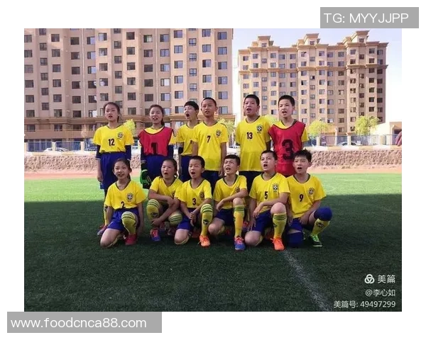 足球小将郑的成长之路与梦想追逐的精彩故事 足球小将郑的成长之路与梦想追逐的精彩故事