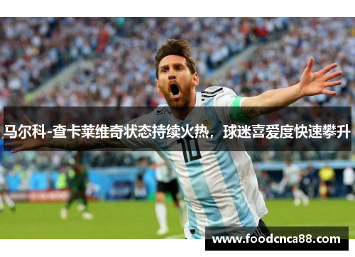 马尔科-查卡莱维奇状态持续火热，球迷喜爱度快速攀升