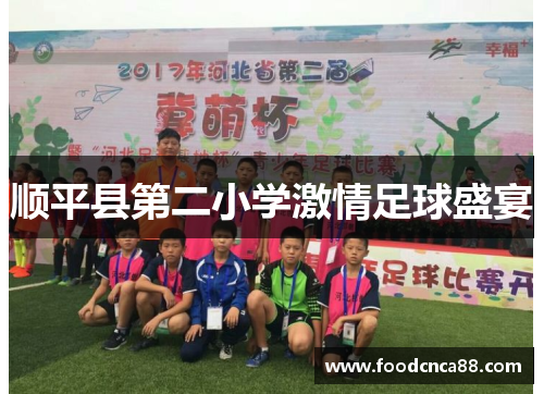 顺平县第二小学激情足球盛宴