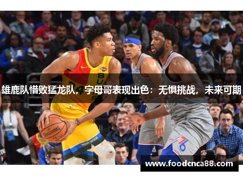 雄鹿队惜败猛龙队，字母哥表现出色：无惧挑战，未来可期