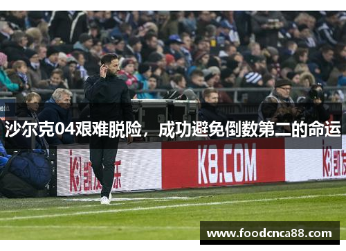 沙尔克04艰难脱险，成功避免倒数第二的命运