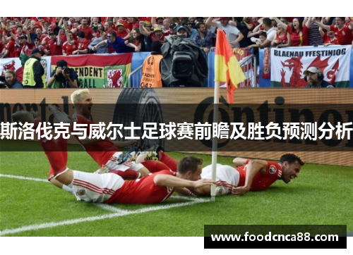 斯洛伐克与威尔士足球赛前瞻及胜负预测分析