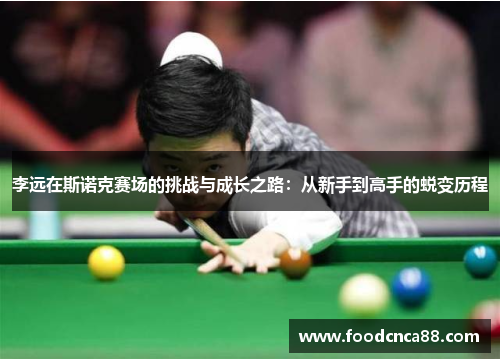 李远在斯诺克赛场的挑战与成长之路：从新手到高手的蜕变历程