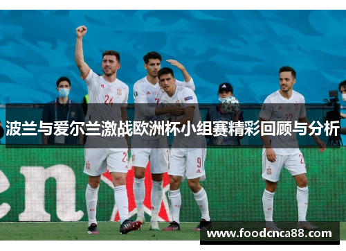 波兰与爱尔兰激战欧洲杯小组赛精彩回顾与分析